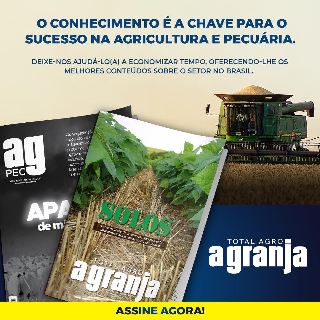 Revista Agrotejo n.º 31 - Ano 2021 by Agrotejo - Issuu